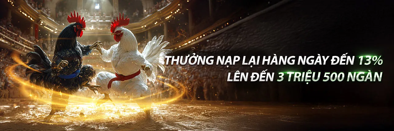 Đá gà trực tuyến Kwin
